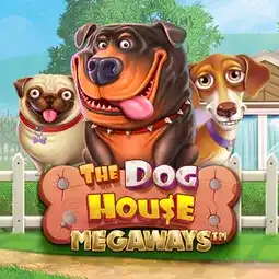 The Dog House Megaways gra w Mr Bet Casino dla graczy z Polski The Dog House Megaways gra w Mr Bet Casino dla graczy z Polski