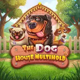 The Dog House Multihold gra w Mr Bet Casino dla graczy z Polski The Dog House Multihold gra w Mr Bet Casino dla graczy z Polski